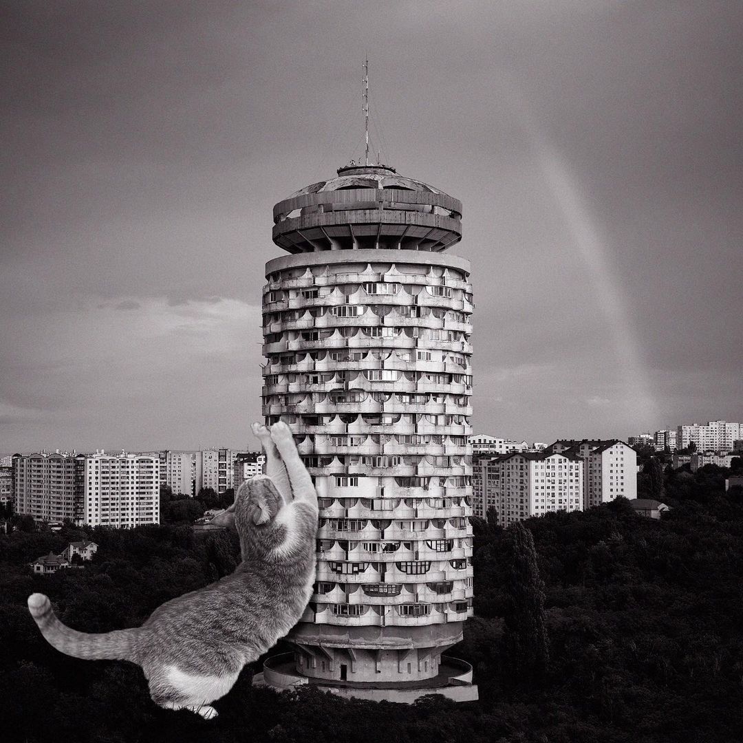 Cats of brutalism: making brutal architecture a little furrier
