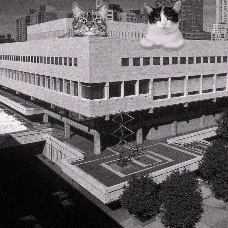 Cats of brutalism: making brutal architecture a little furrier
