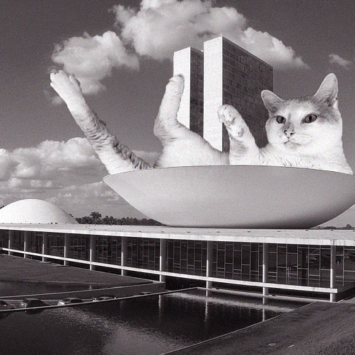 Cats of brutalism: making brutal architecture a little furrier