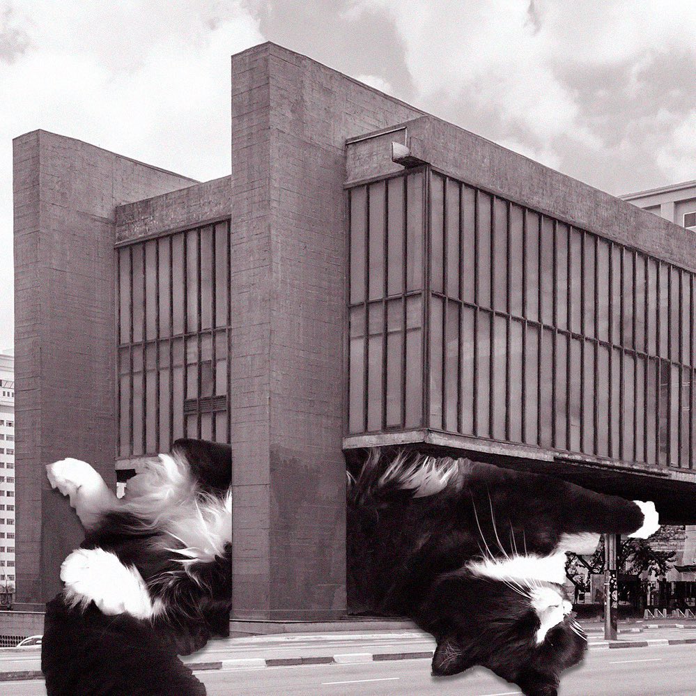 Cats of brutalism: making brutal architecture a little furrier
