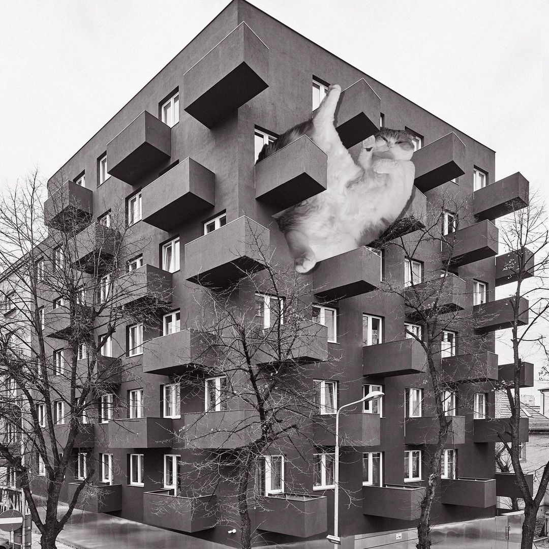 Cats of brutalism: making brutal architecture a little furrier