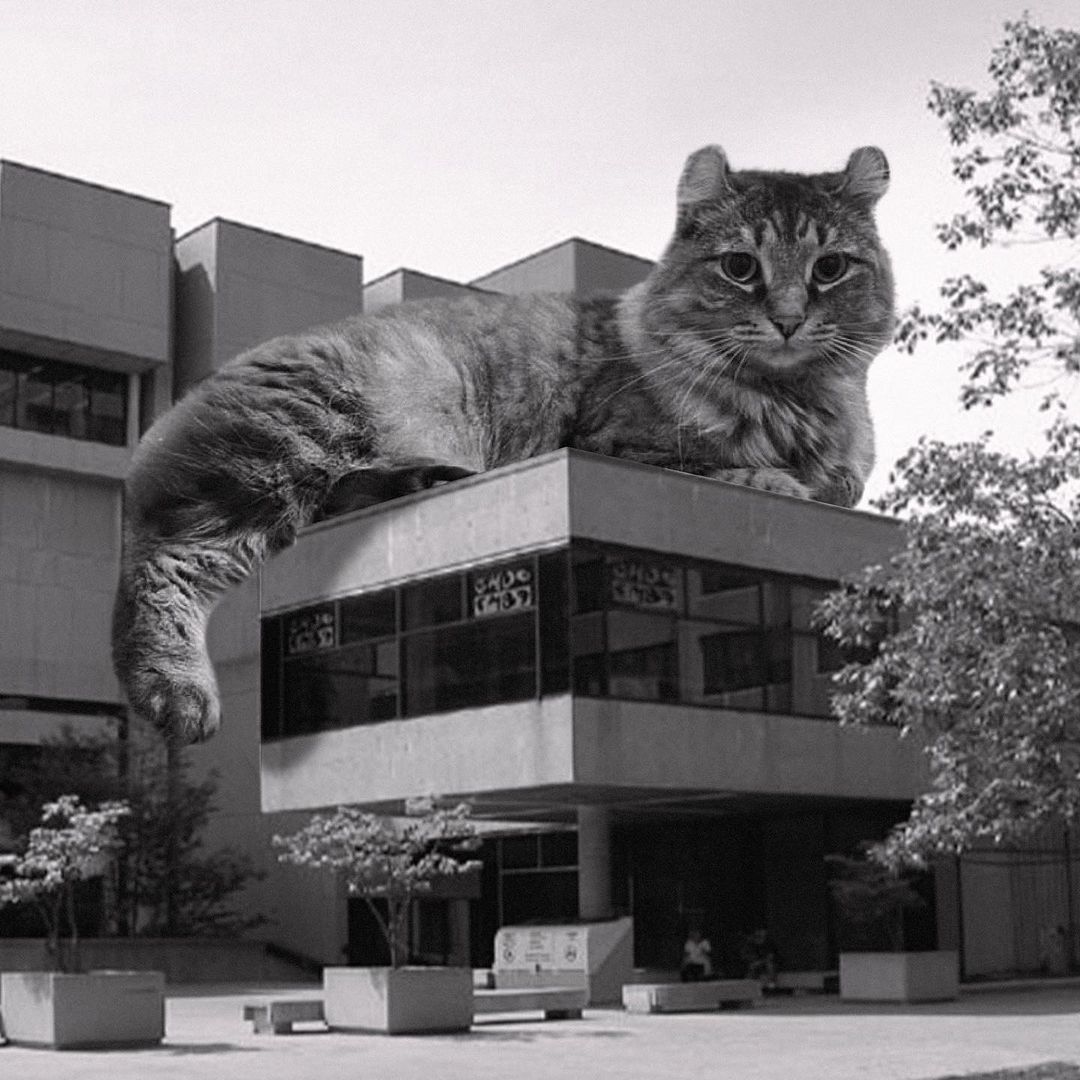 Cats of brutalism: making brutal architecture a little furrier