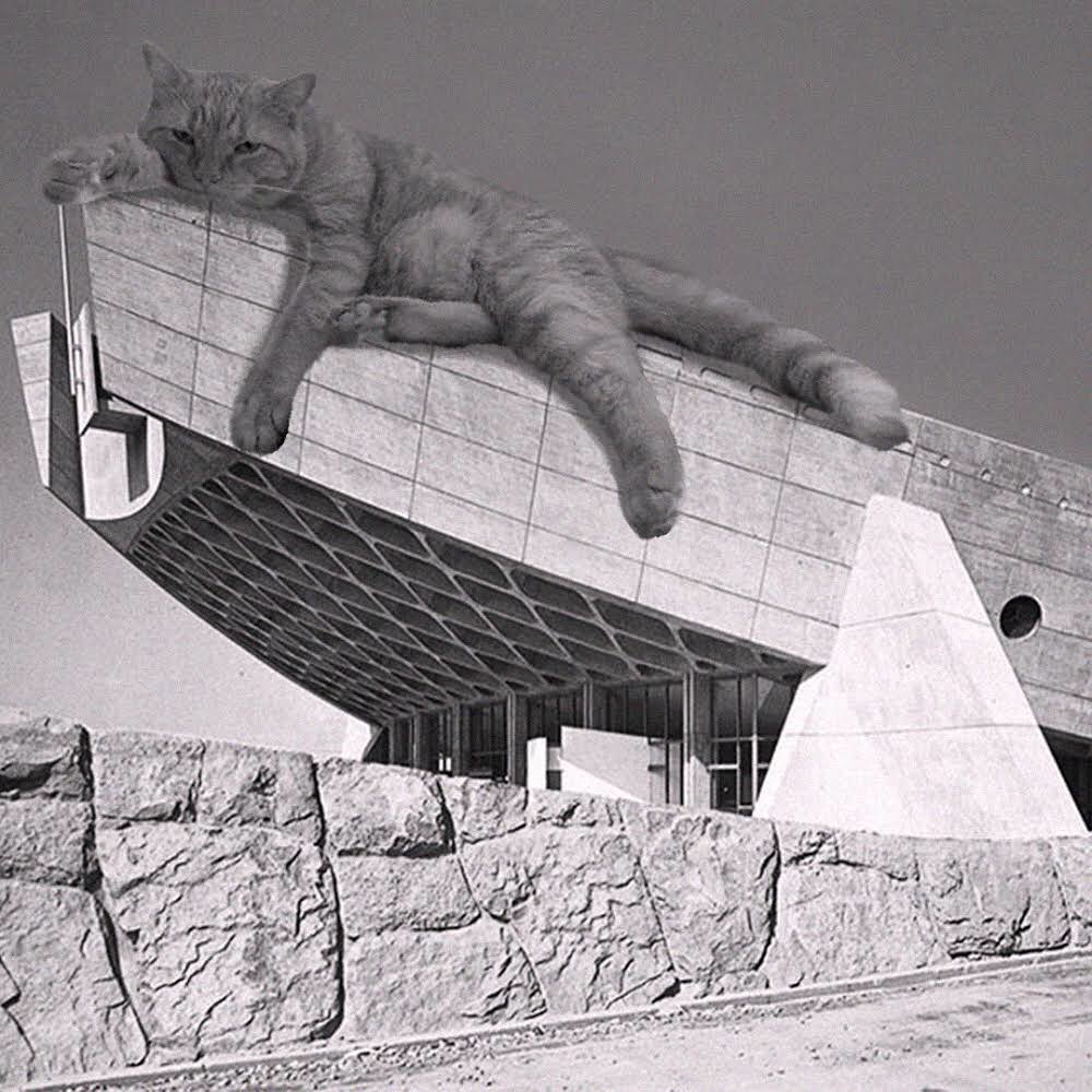 Cats of brutalism: making brutal architecture a little furrier