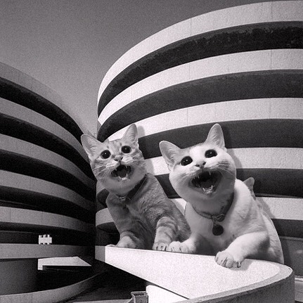 Cats of brutalism: making brutal architecture a little furrier