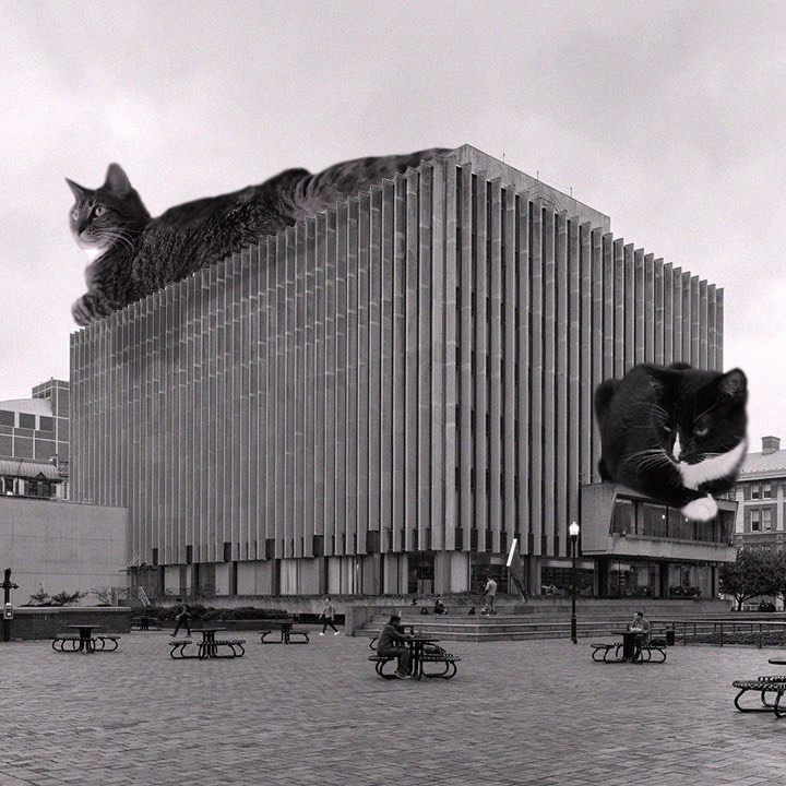 Cats of brutalism: making brutal architecture a little furrier