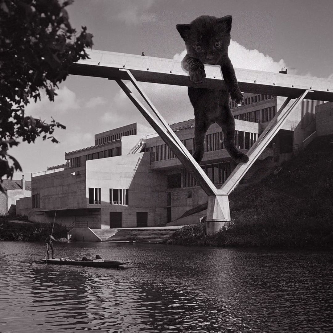 Cats of brutalism: making brutal architecture a little furrier