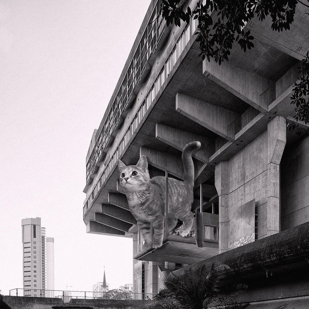 Cats of brutalism: making brutal architecture a little furrier