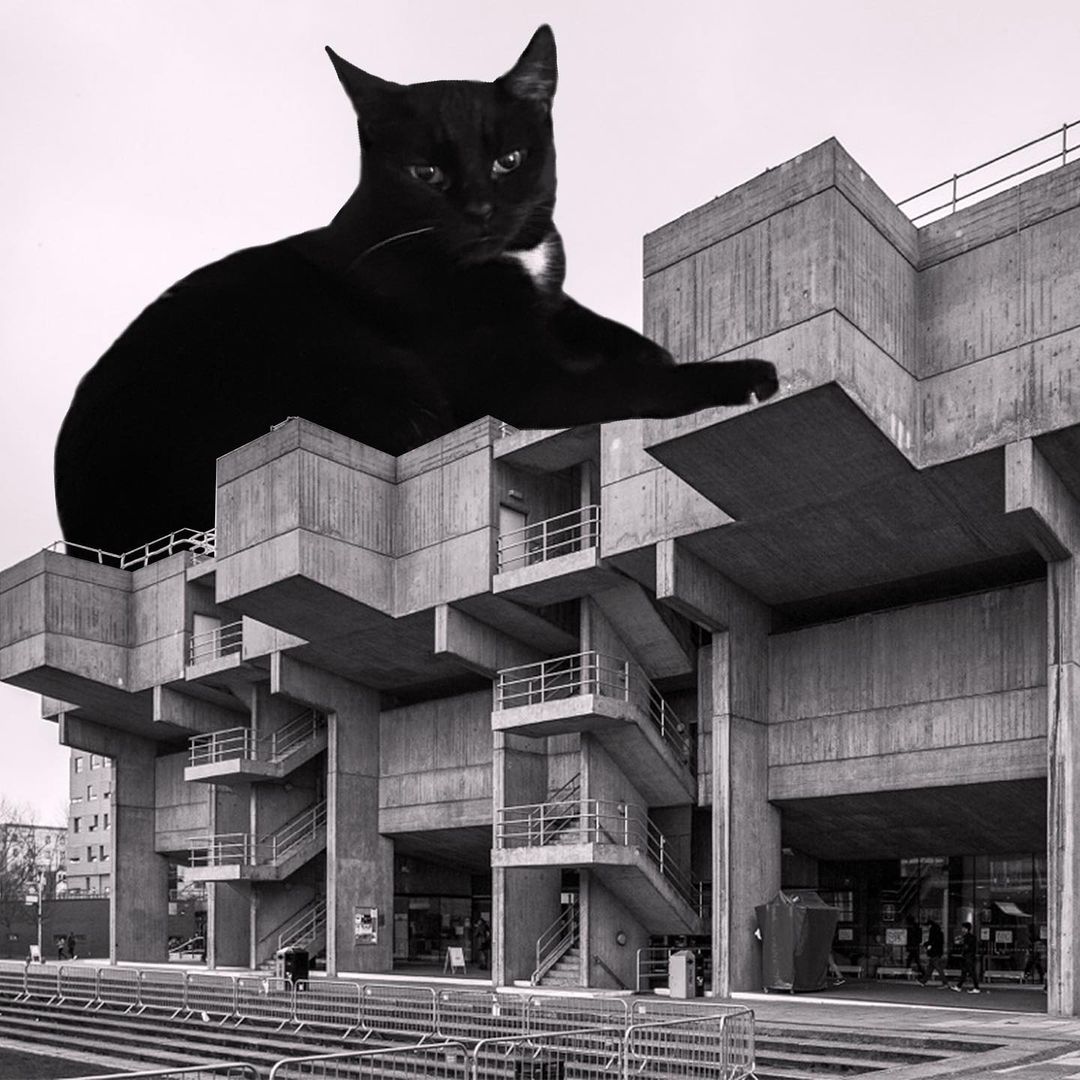 Cats of brutalism: making brutal architecture a little furrier