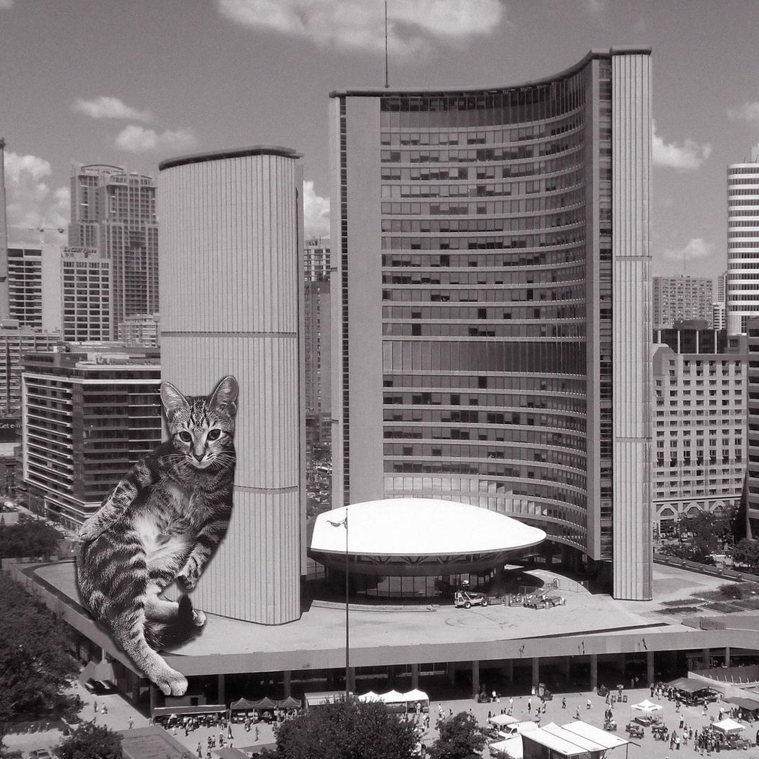 Cats of brutalism: making brutal architecture a little furrier