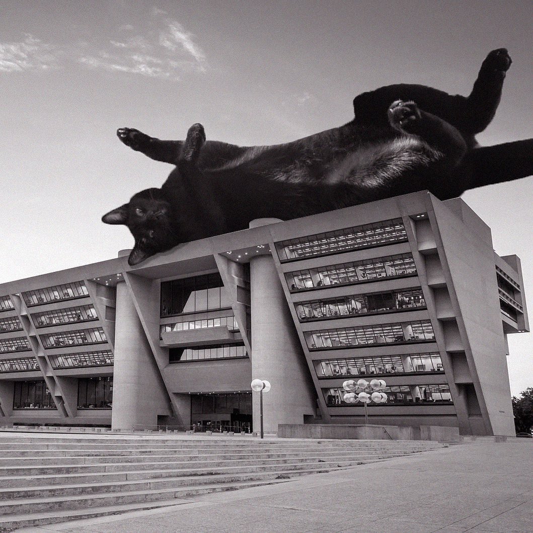Cats of brutalism: making brutal architecture a little furrier