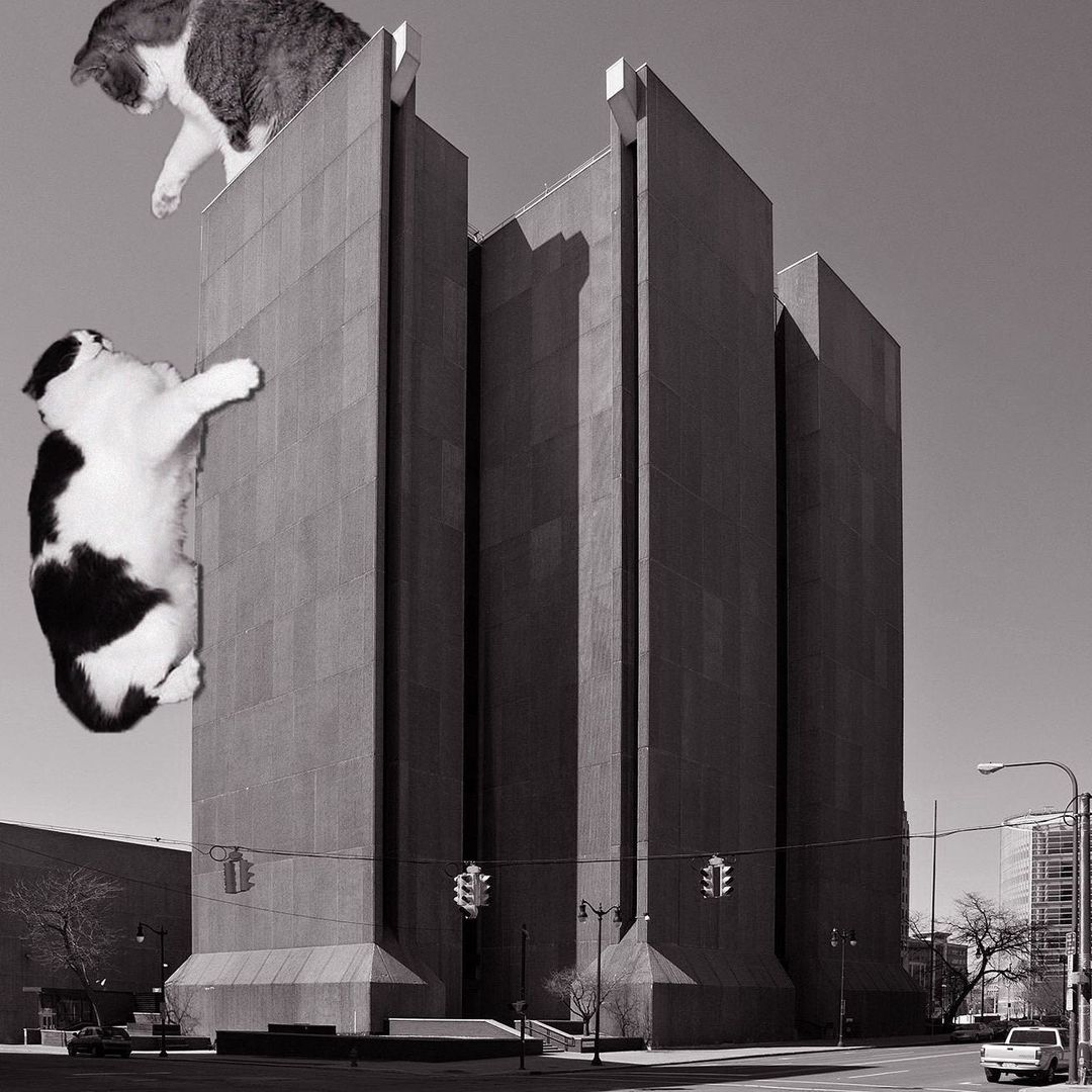 Cats of brutalism: making brutal architecture a little furrier