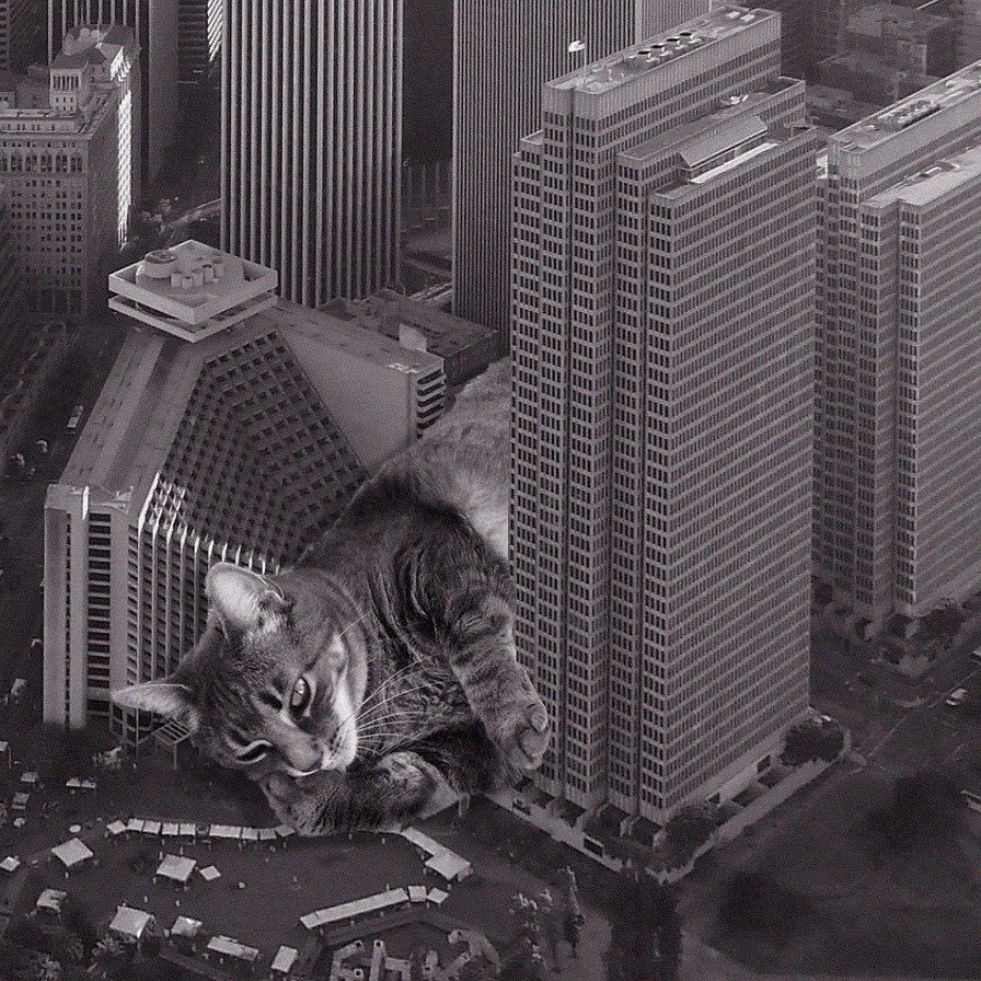 Cats of brutalism: making brutal architecture a little furrier