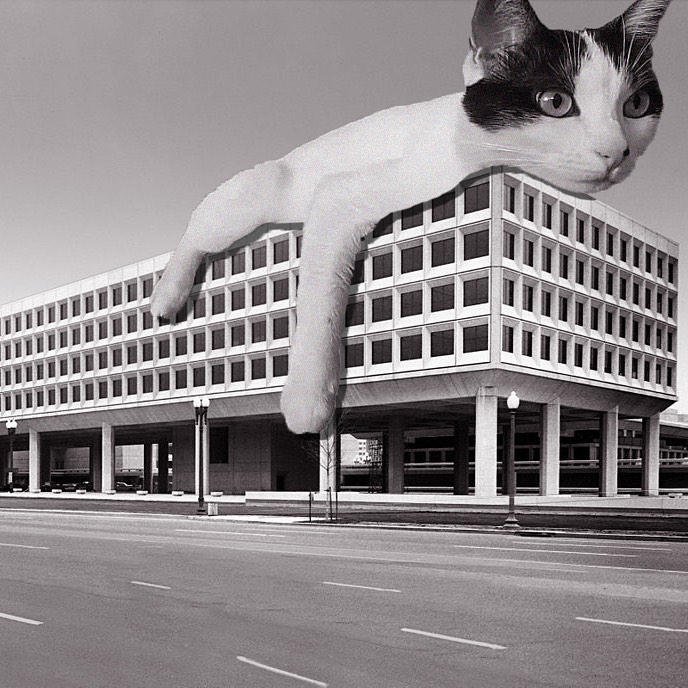 Cats of brutalism: making brutal architecture a little furrier