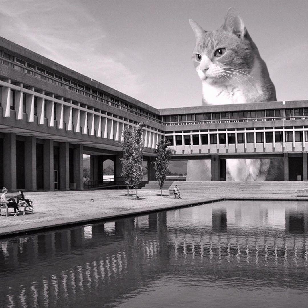 Cats of brutalism: making brutal architecture a little furrier