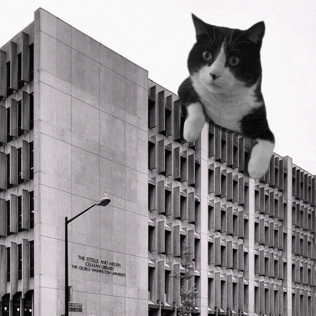 Cats of brutalism: making brutal architecture a little furrier