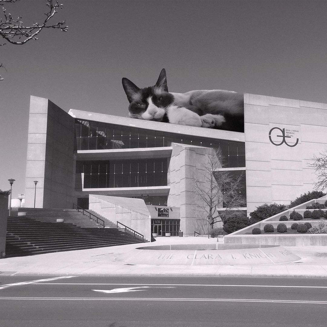 Cats of brutalism: making brutal architecture a little furrier