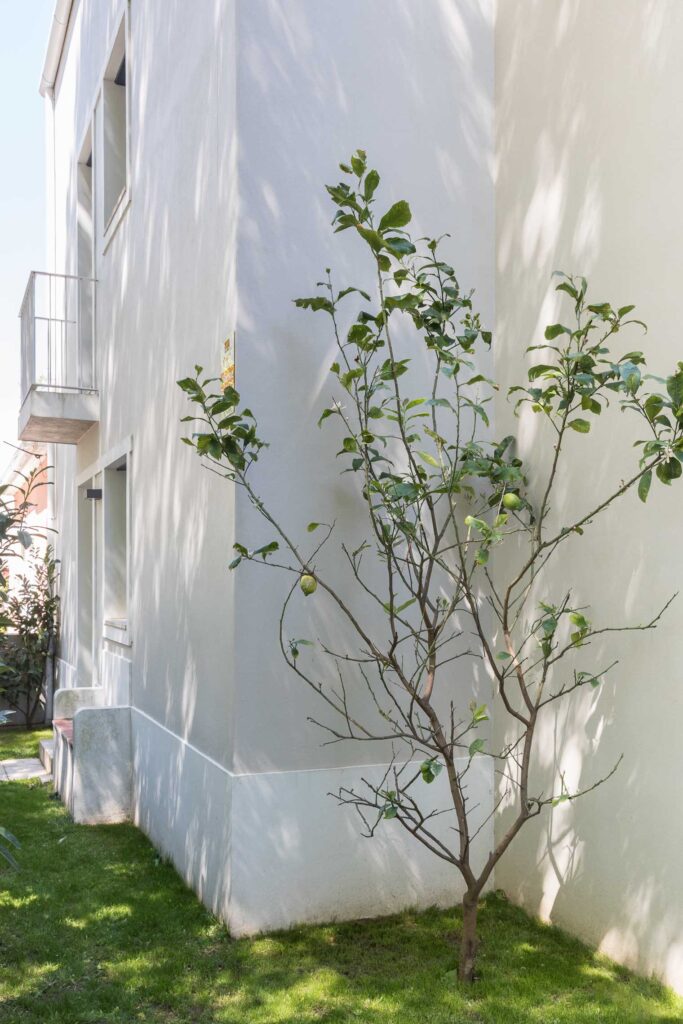 Casa Figueira Da Foz / Alessandro Pepe Arquitecto 49 Casa figueira da foz / alessandro pepe arquitecto