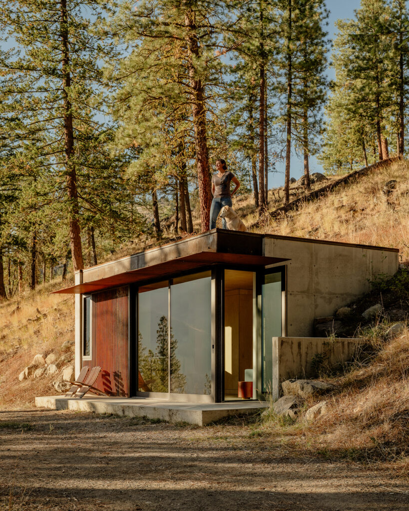 Tinyleaf / go’c studio