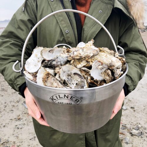 Sea stone: a sustainable concrete-like material made from recycled seashells