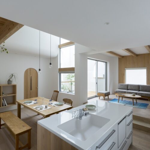 Otsu house / alts design office