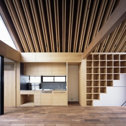 Ark / apollo architects & associates