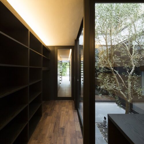 Ark / apollo architects & associates