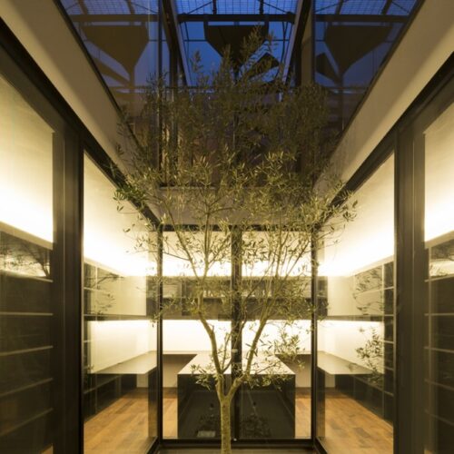 Ark / apollo architects & associates