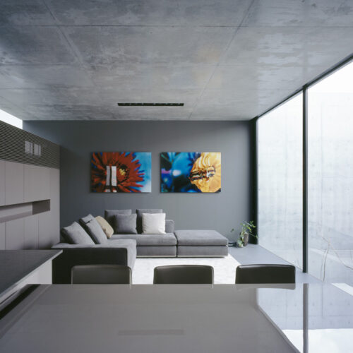 Grigio / apollo architects & associates