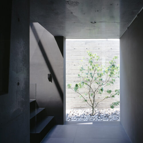 Grigio / apollo architects & associates