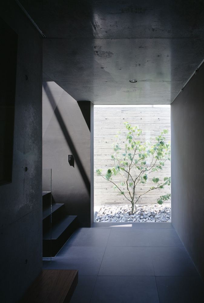 Grigio / apollo architects & associates