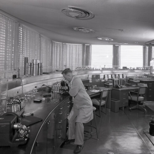 Sc Johnson And Son Administration Building / Frank Lloyd Wright | Classics On Architecture Lab 42 Sc johnson and son administration building / frank lloyd wright | classics on architecture lab