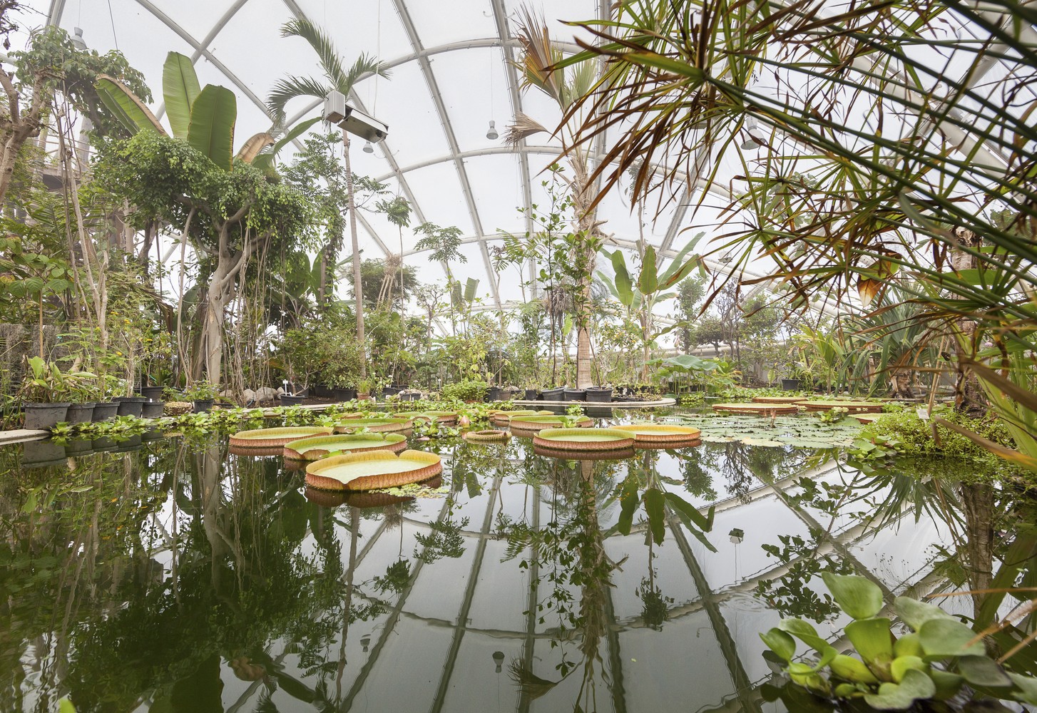 Hothouse At The Botanical Gardens, Aarhus, June 2013 Sustainable hothouse / c. F. Møller
