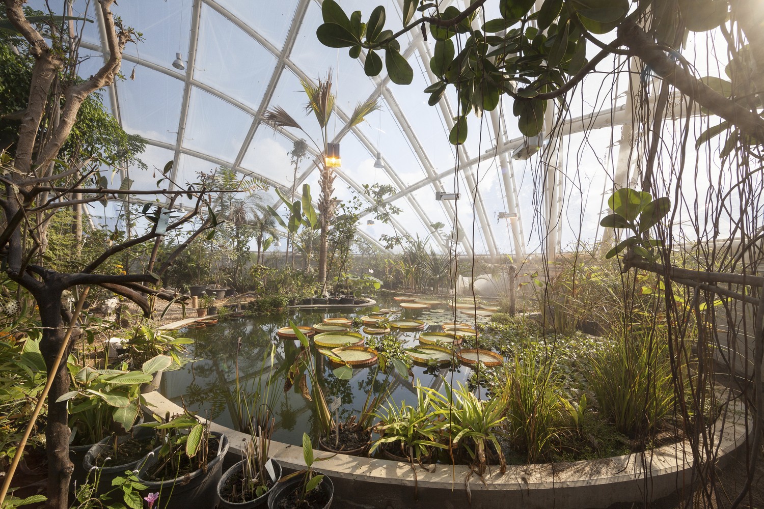 Hothouse At The Botanical Gardens, Aarhus, June 2013 Sustainable hothouse / c. F. Møller