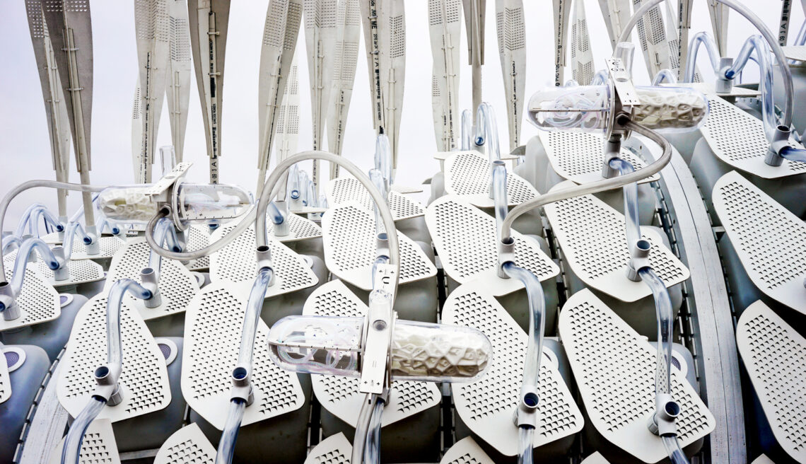 Cricket Shelter - Modular Insect Farm / Terreform One 4 Cricket shelter - modular insect farm / terreform one