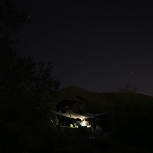 Frank Lloyd Wright Architecture School Students Build 'Survival Cabins' At Taliesin West 3 Frank lloyd wright architecture school students build 'survival cabins' at taliesin west