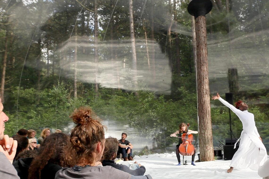Loud Shadows / Plastique Fantastique 11 Loud shadows / plastique fantastique