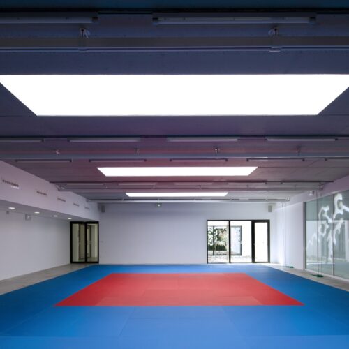 Jean sidoine sports complex / christophe gulizzi