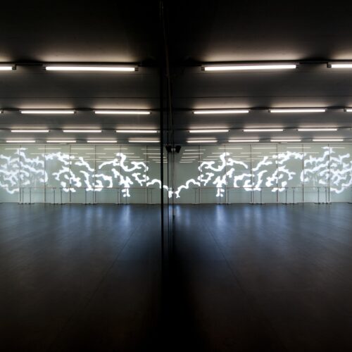 Jean sidoine sports complex / christophe gulizzi