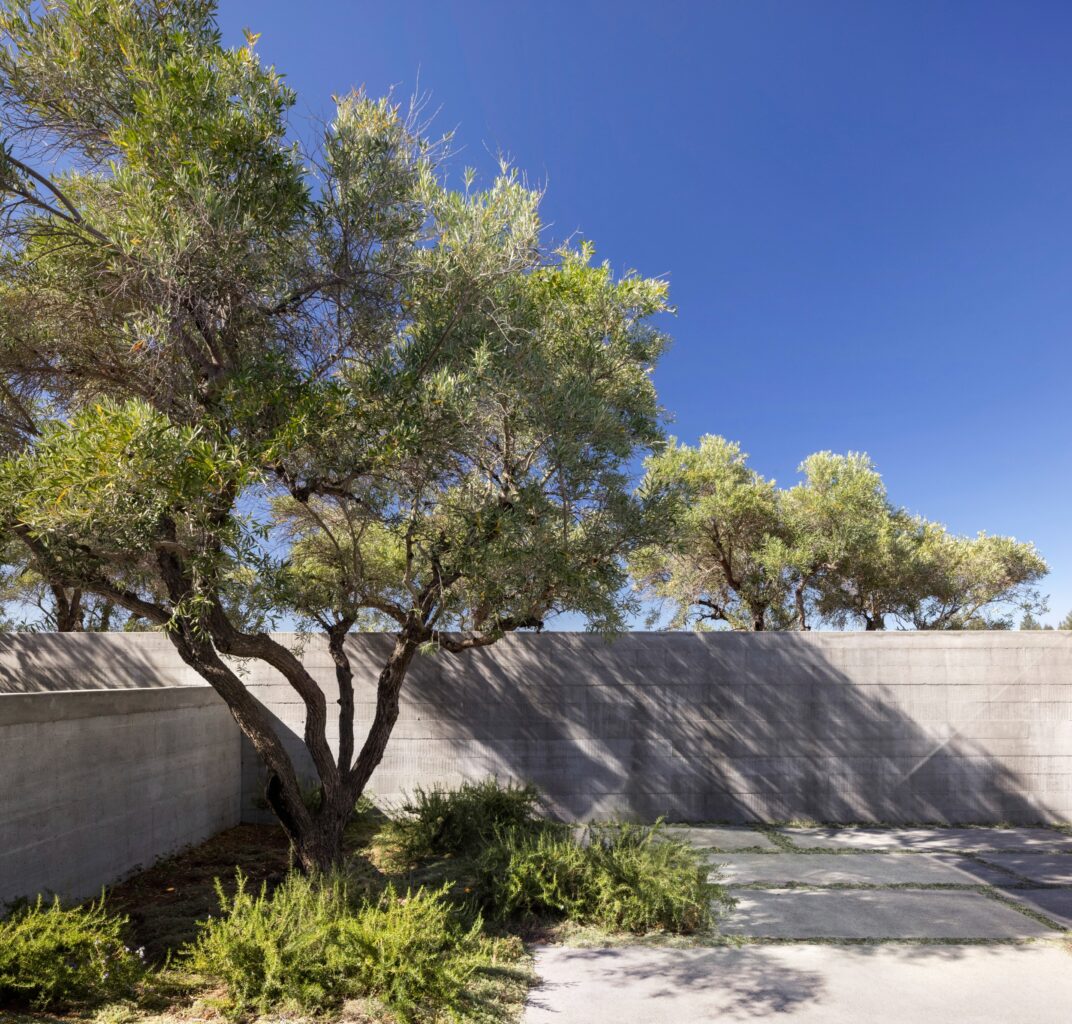 The Phoenix / Feldman Architecture 13 The phoenix / feldman architecture