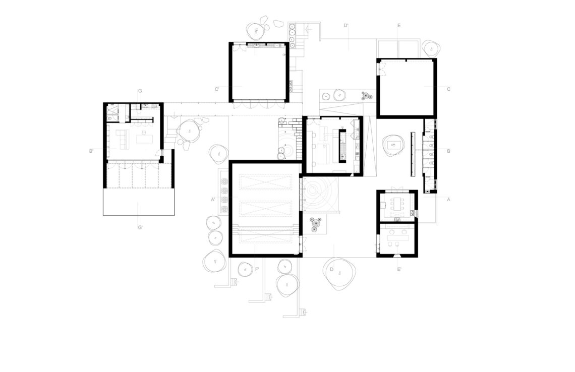 Casa ballena / rima design group
