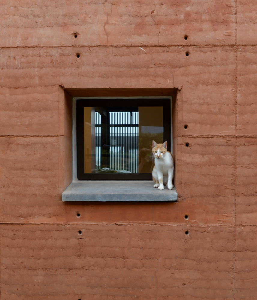 Ovenbird House / Bauen 21 Ovenbird house / bauen
