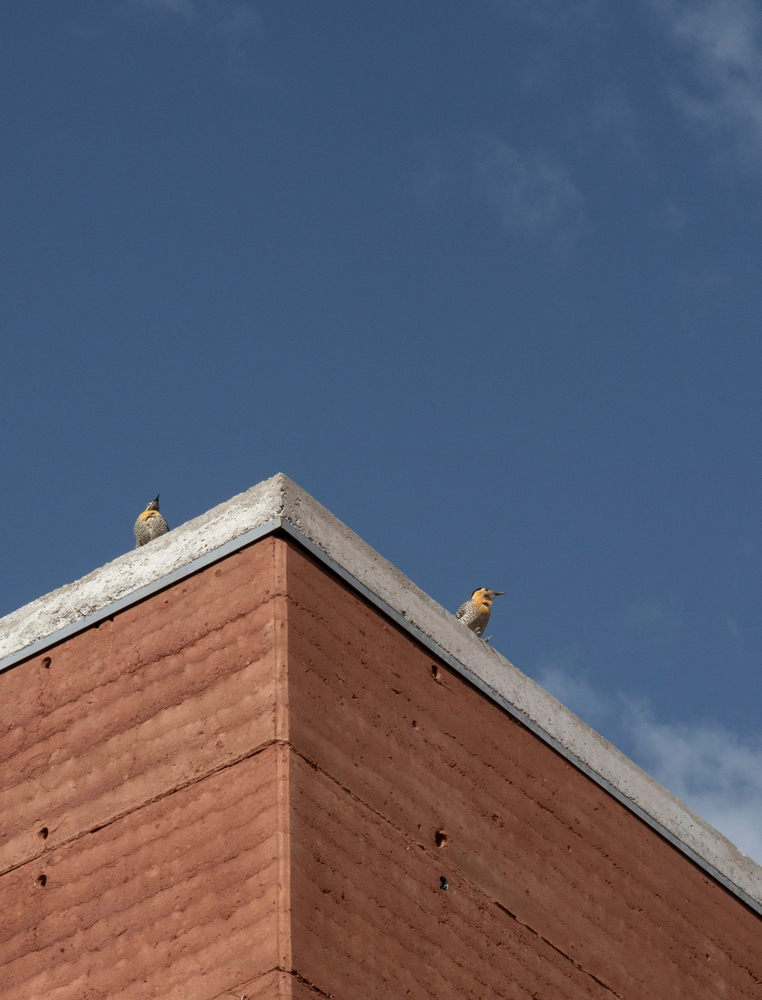 Ovenbird House / Bauen 15 Ovenbird house / bauen