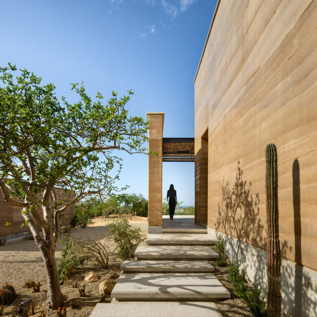 Casa ballena / rima design group