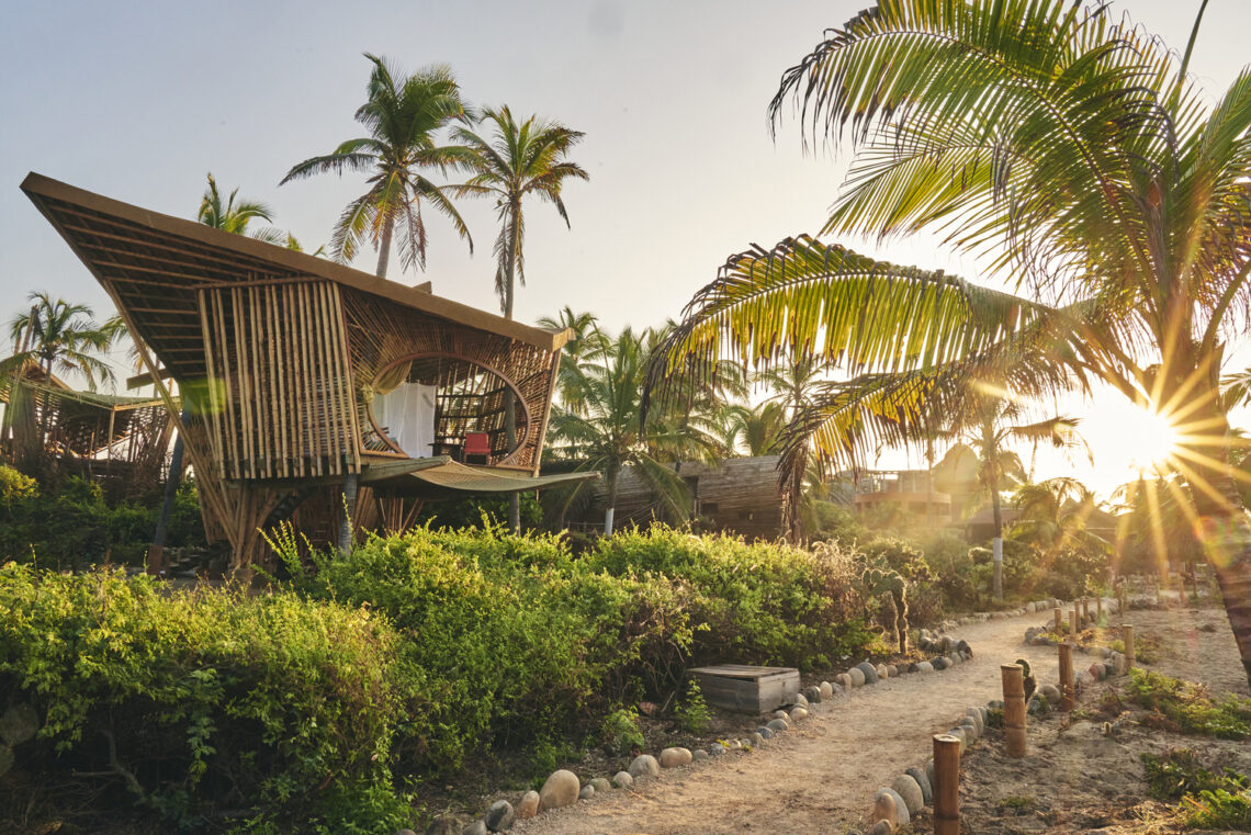 Bamboo Treehouses At Playa Viva / Atelier Nomadic 7 Bamboo treehouses at playa viva / atelier nomadic
