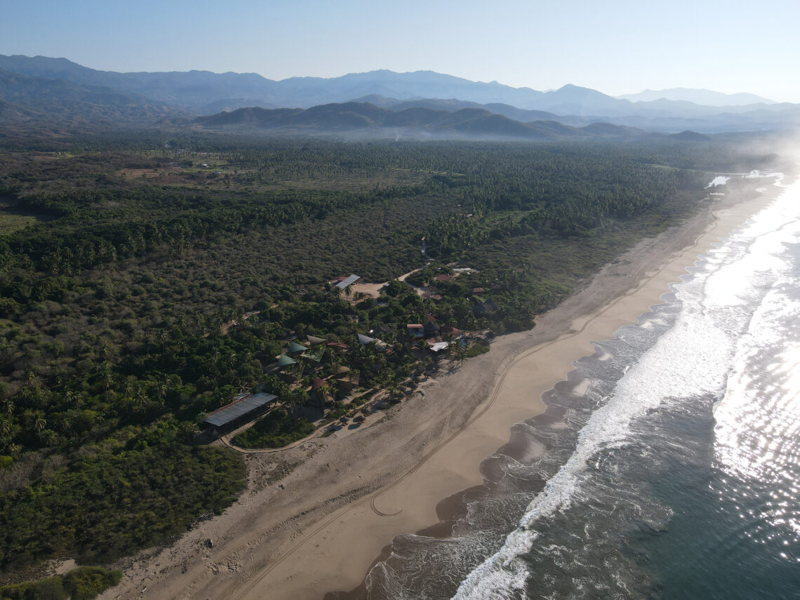 Bamboo Treehouses At Playa Viva / Atelier Nomadic 9 Bamboo treehouses at playa viva / atelier nomadic