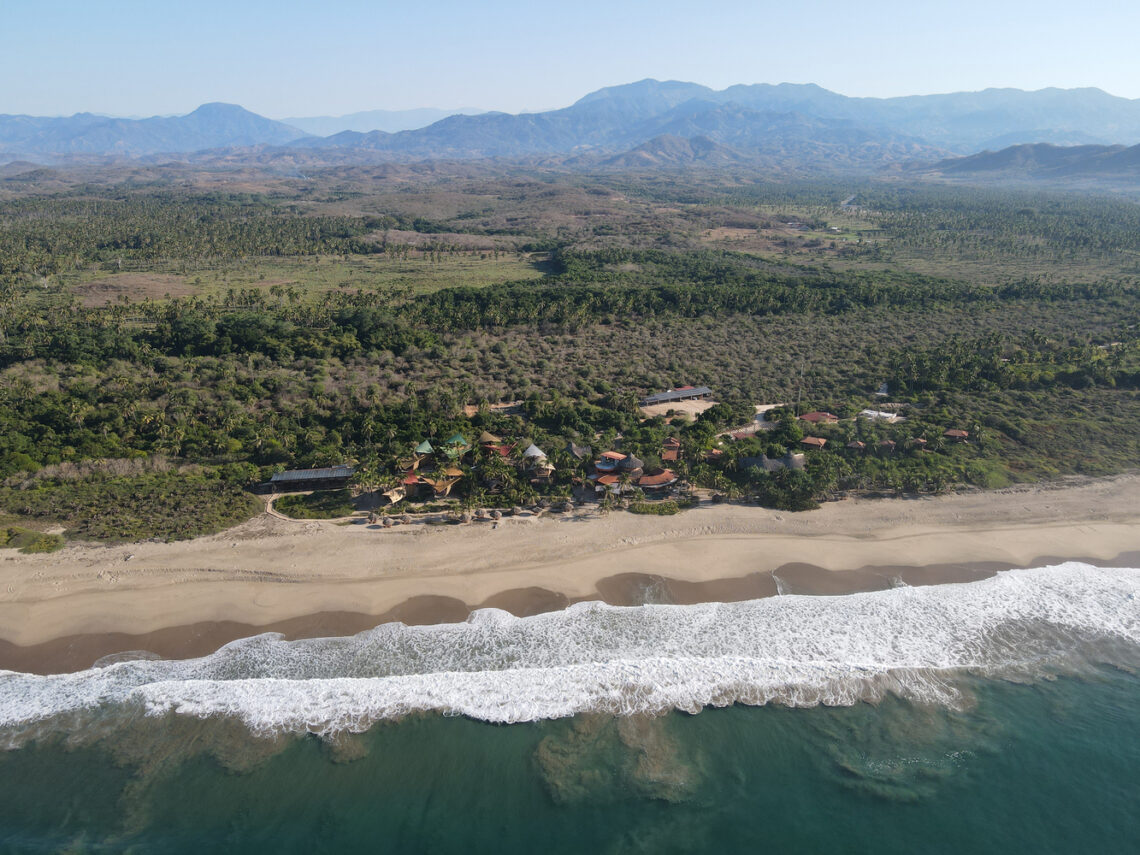 Bamboo Treehouses At Playa Viva / Atelier Nomadic 8 Bamboo treehouses at playa viva / atelier nomadic