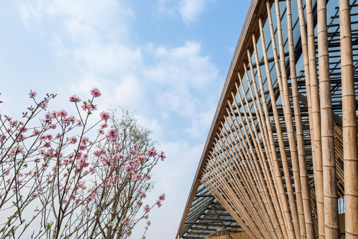 New Pastoralism Lecture Hall / Syn Architects China 2 New pastoralism lecture hall / syn architects china