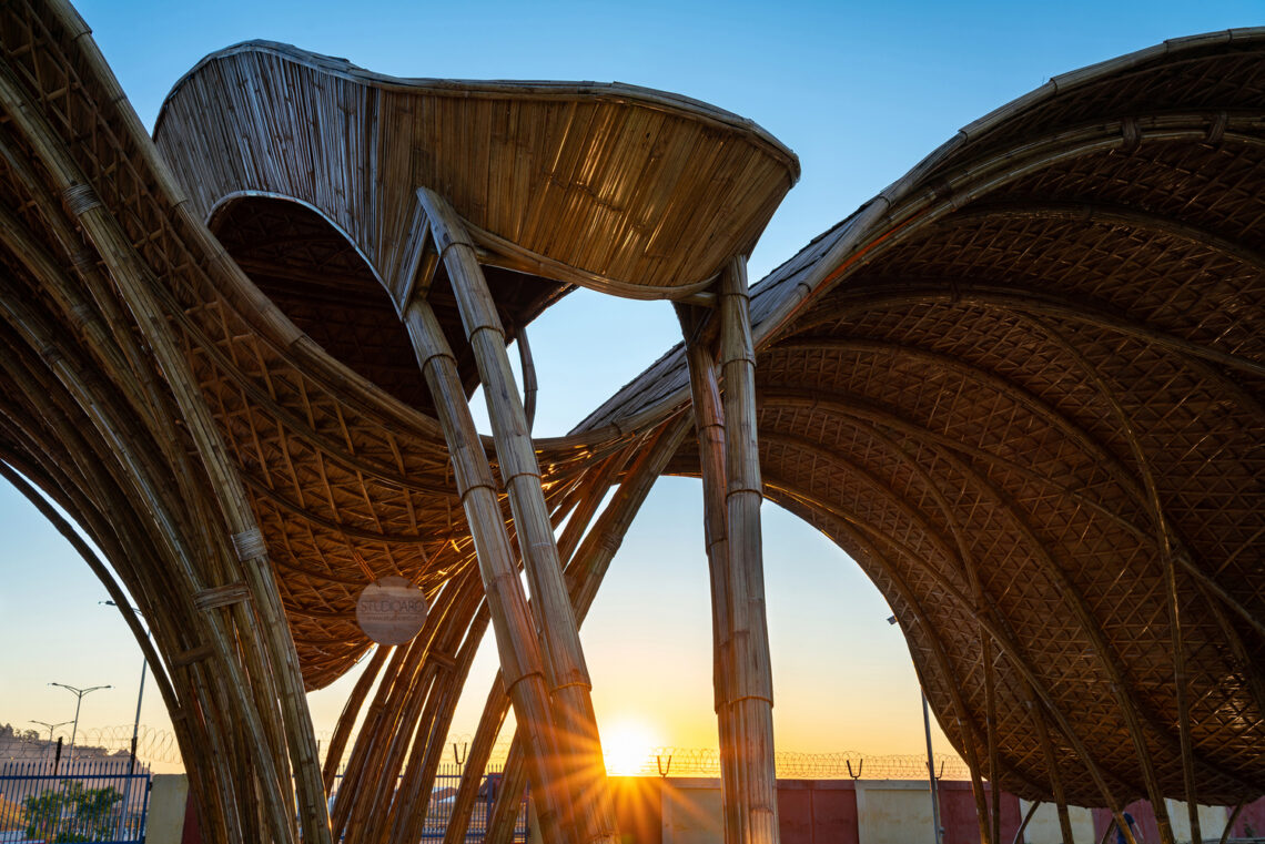 The Great Hornbill Gate / Studioaro 9 The great hornbill gate / studioaro