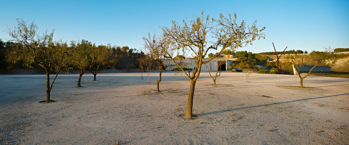 Igualada cemetery / enric miralles + estudio carme pinos | classics on architecture lab
