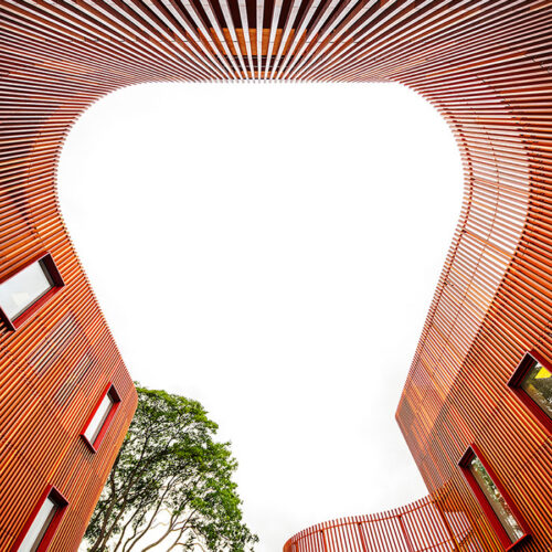 Forfatterhuset kindergarten / cobe